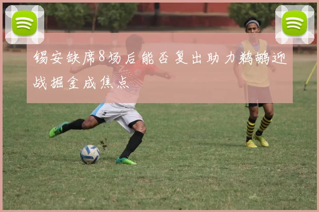 锡安缺席8场后能否复出助力鹈鹕迎战掘金成焦点