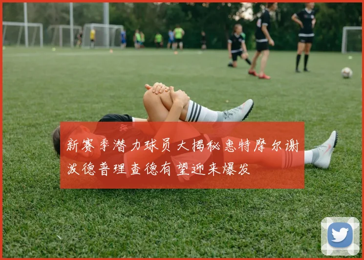 新赛季潜力球员大揭秘惠特摩尔谢泼德普理查德有望迎来爆发