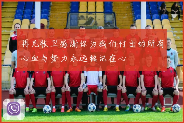 再见张卫感谢你为我们付出的所有心血与努力永远铭记在心